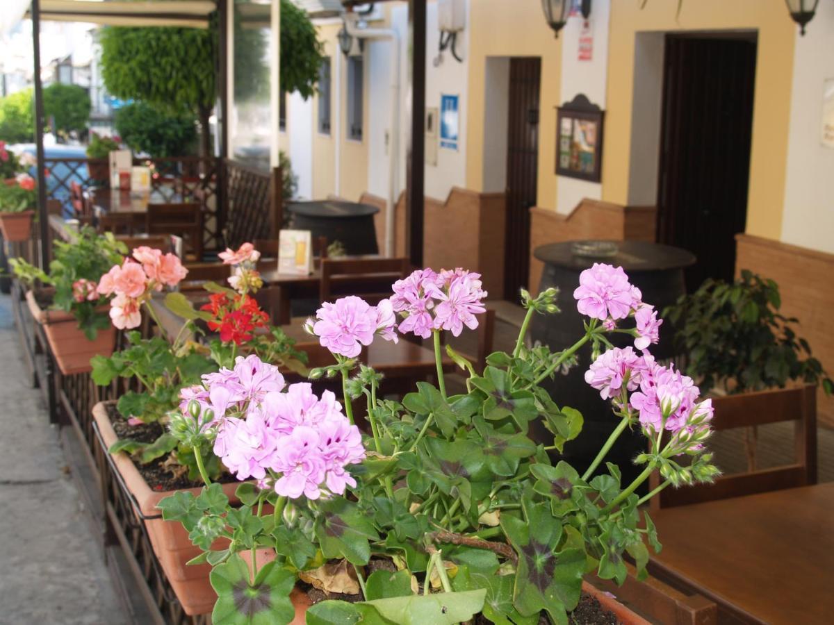 Hotel Caico'S Prado Del Rey Esterno foto